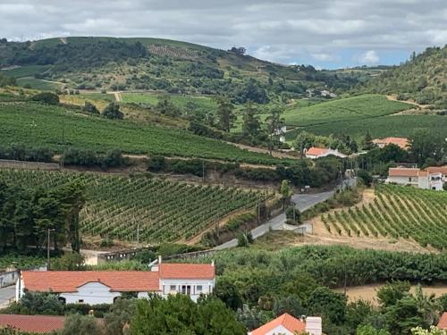 Quinta Ribeira do Labrador - Lisbon West Wine Route