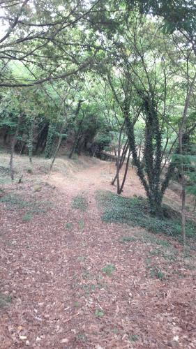Quinta Vale do Nox