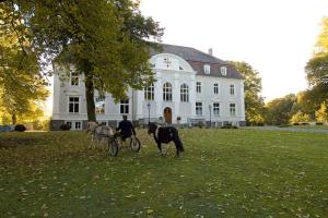 Séjour à la ferme Schloss Zinzow Zinzow 61 17392 Zinzow Mecklembourg-Poméranie