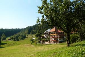 Séjour à la ferme Schlosshof - der Urlaubsbauernhof Schlosshofweg 3 79215 Elzach Bade-Wurtemberg