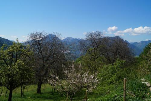 Schoberhof