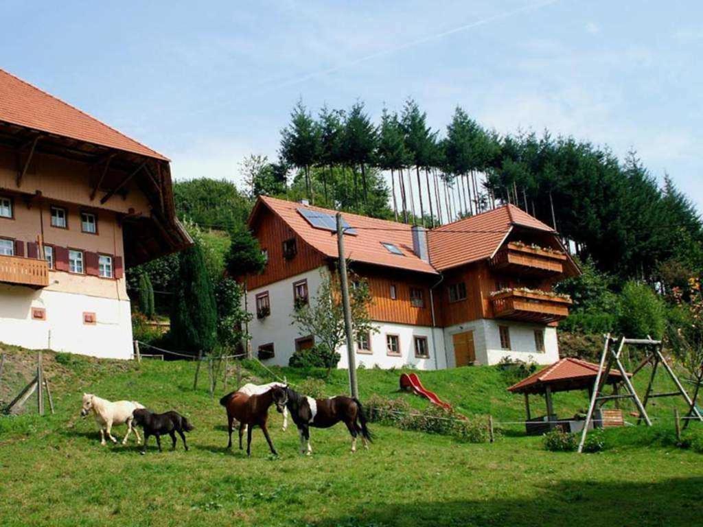 Séjour à la ferme Schwoererhof Loh 1 77978 Schweighausen