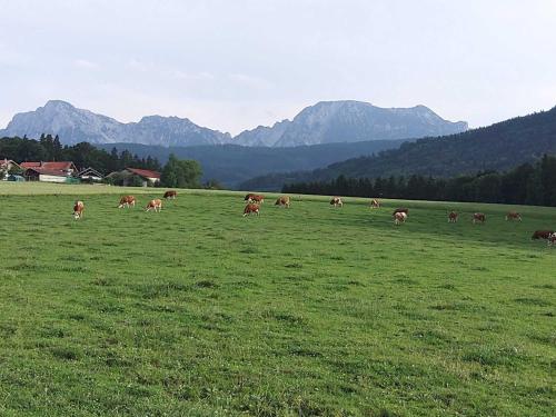 Séjour à la ferme Straßer-Hof Oberstraß 2 83317 Teisendorf Bavière