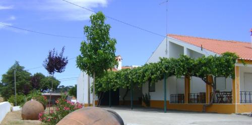 Tapada da Beirã