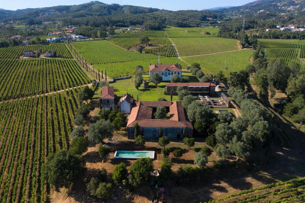 Séjour à la ferme Terra Rosa Country House & Vineyards Rua de São Pedro de Calvelo 4990-580 Ponte de Lima