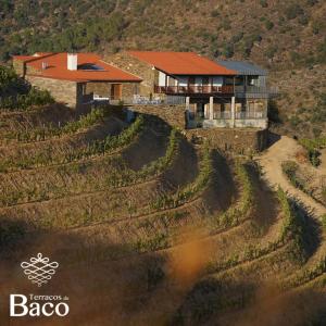 Séjour à la ferme Terraços de Baco QUINTA DOS VALES OU CAPELA RIBALONGA - Estrada Nacional nr 214 KM 5 5140-224 Ribalonga Région Nord