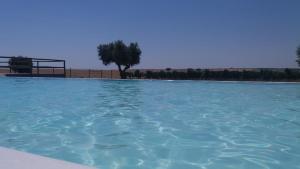Terras - Agroturismo & Vinhos