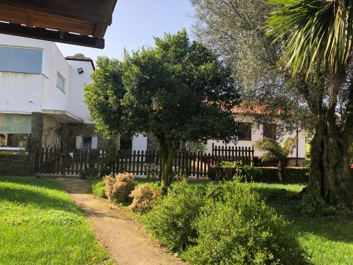 The Olive Tree Country Home