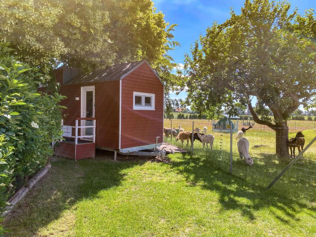 Séjour à la ferme Tiny House auf der Alpaka Farm Anklamer Chaussee 4 17390 Rubkow