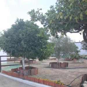 VILA NATURA
