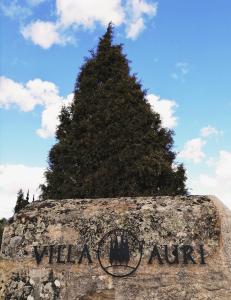 Villa Auri