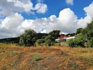 Vinha do Gaio