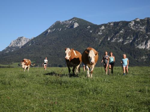 Weissenhof - Chiemgau Karte