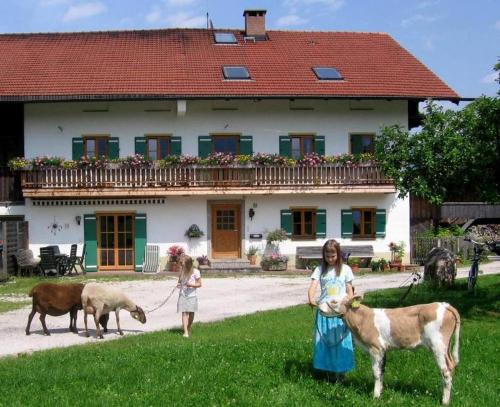 Zaissererhof
