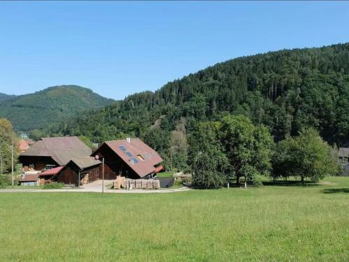 Zimmerbauernhof