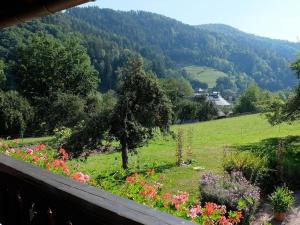 Séjour à la ferme Zimmerbauernhof 2 Wählerhöfe 77793 Herrenbach Bade-Wurtemberg