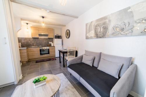 Appartement Séjour à Melun La Maisonnette Melunaise 5 bis Rue de la Varenne Melun