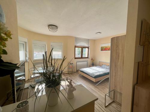 1 Raumwohnung für 2 Gäste