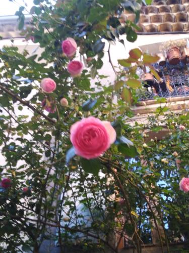 2 Rue de la Tour
