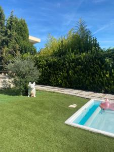 Adorable chambre d'hôte vue sur piscine