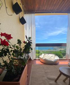 Amazing Private Room in Apartment with Sea Beach View - Pool - Park - Private Condominium - Access to the Beach
