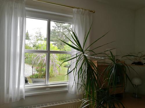 Apartment HAUS MERLIN am Böckelsberg