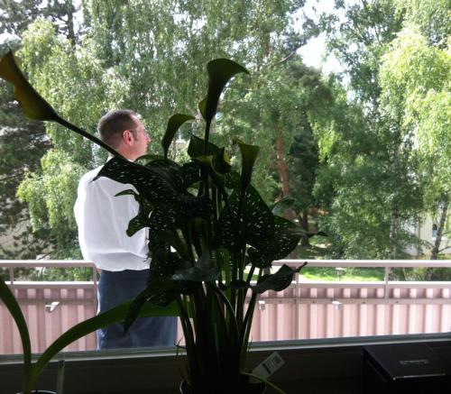 ask rooms Privatzimmer in Kassel