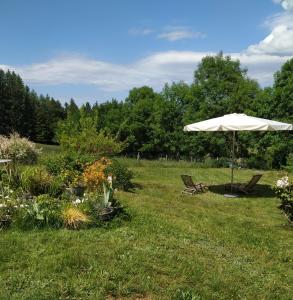 Séjour chez l'habitant Au Chat Perché Ladoux 63980 Aix-la-Fayette Auvergne