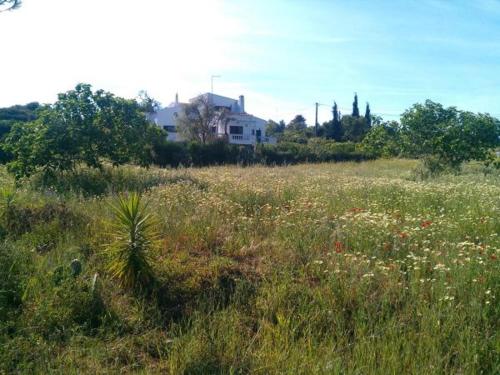 Av Fonte Coberta, Lagos, Villa Fonte Coberta