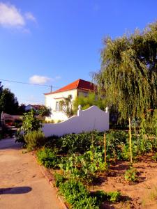 B&B Quarto Violeta com Chaminé