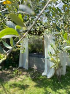 Séjour chez l'habitant Bastide Aïna SPA et piscine Bastide Aïna 15 Chemin Noailles 06130 Grasse Provence-Alpes-Côte d\'Azur