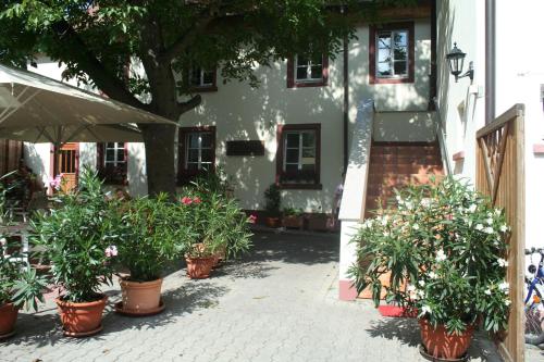 Boardinghouse La Grotta