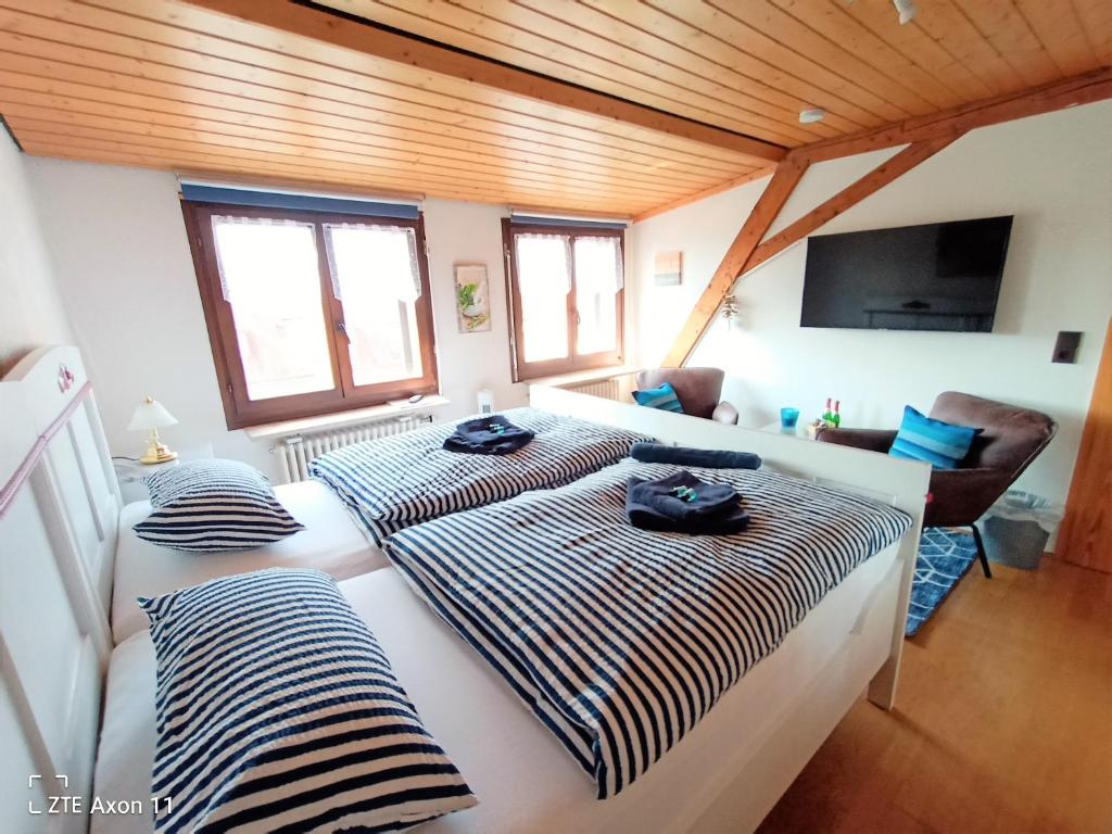 Séjour chez l'habitant BodenSEE Privatzimmer \ 21 Sierenmoosstraße 78464 Constance