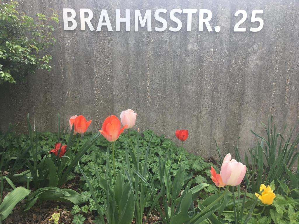 Séjour chez l'habitant Brahms 25 Brahmsstr. 25 Amann Verwaltung 93053 Ratisbonne