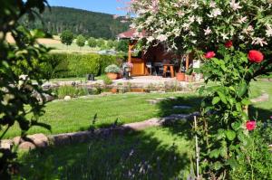 Bramwaldblick