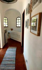 CASA 19