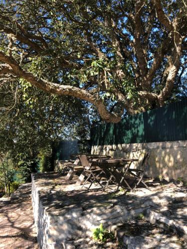 Casa do Horizonte