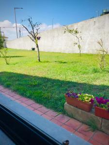 Casa do Trevo
