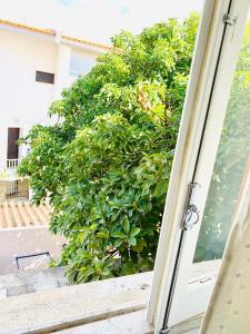 Cascais Estoril guest house
