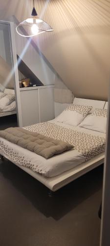 Chambre chez particulier 10mn du circuit