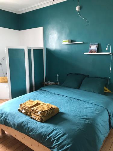 Chambre cosy dans maison de maître
