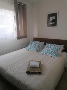 Séjour chez l'habitant Chambre double avec salle de bain commune, a 2 min de la Croisette 25 Boulevard Alexandre III 06400 Cannes Provence-Alpes-Côte d\'Azur