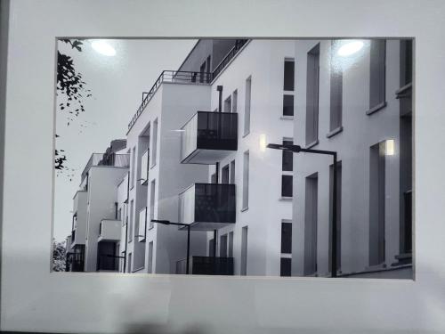 Chambre individuelle dans un appartement à 37 de champs élysées