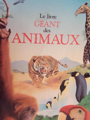 Chambre jonquille