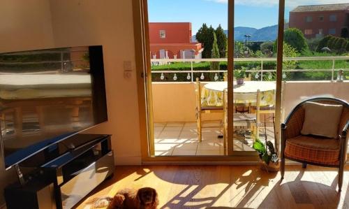 chambre lit 2 personnes dans appartement du logeur