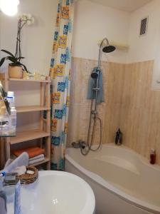 Chambre privée entre Université et centre ville chez l'habitant