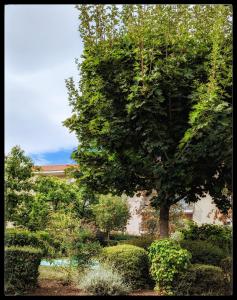 Chambre privée grand confort casa latina