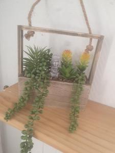 Chambre privée zen
