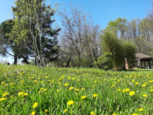 Chambre soignée et accueillante à la campagne - Ch. Jaune