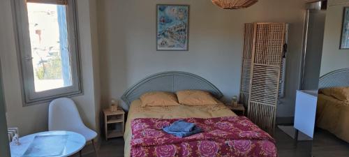 CHAMBRE SPACIEUSE DANS MAISON ART DECO au CENTRE DE TOULOUSE